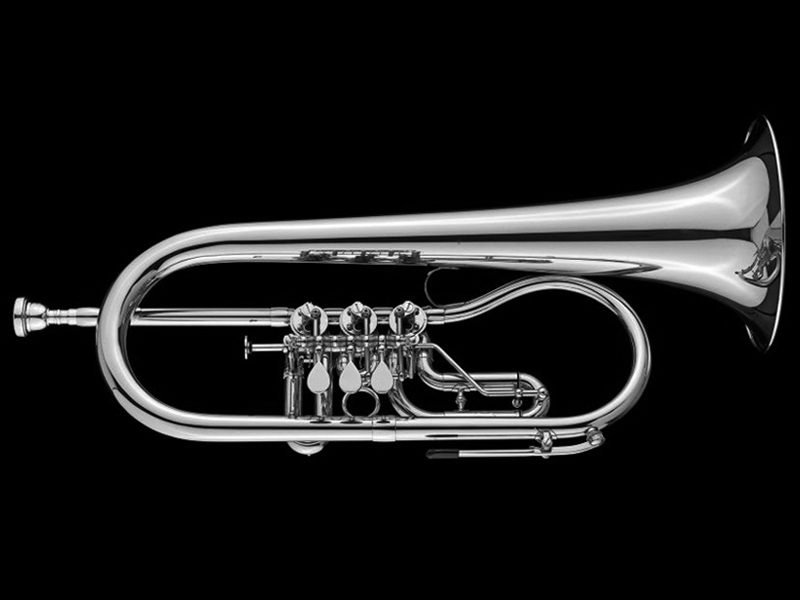 flugelhorn